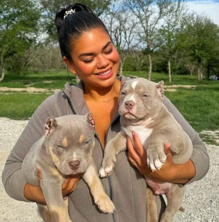 pitbull owner